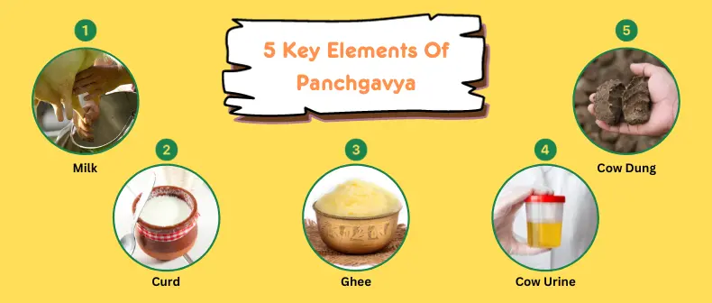 Key Elements Of Panchgavya Satwajeevan